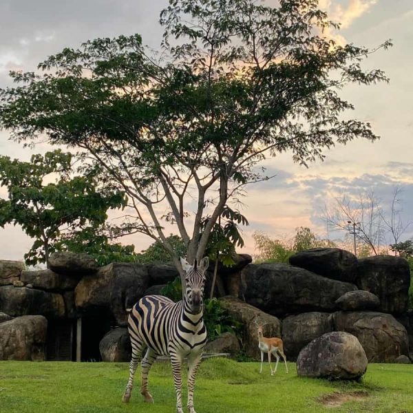 BioParque Ukumarí