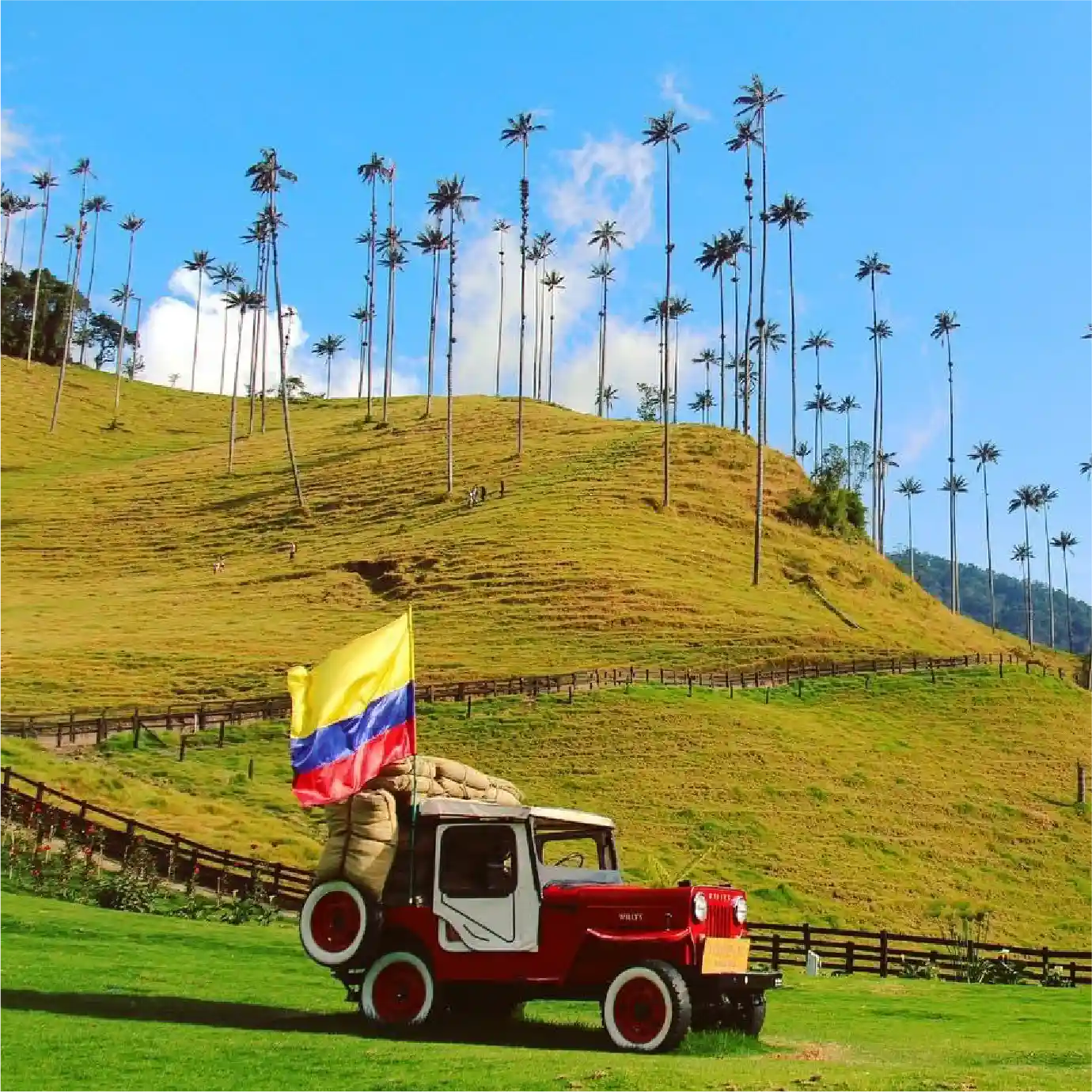 Cómo planificar un viaje inolvidable sin complicaciones